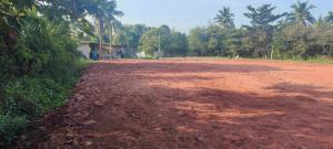 For SaleLandSamut Songkhram : Land for sale, 6 rai already filled, Baan Prok 49, next to PTT gas station.