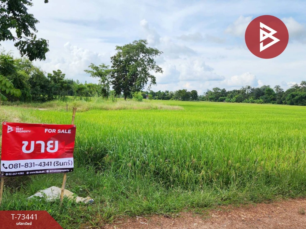 For SaleLandUthai Thani : Empty land for sale, area 14 rai 43.7 square wah, Nong Chang, Uthai Thani.