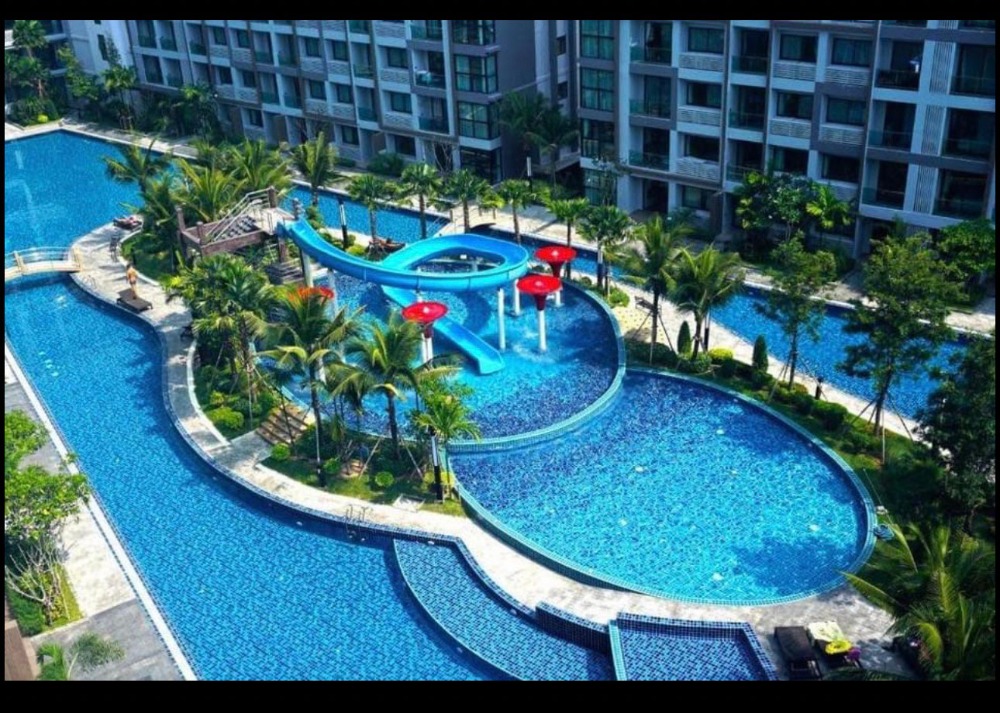 ให้เช่าคอนโดพัทยา บางแสน ชลบุรี สัตหีบ : Dusit grand park condo for rent