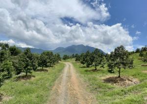 ขายที่ดินจันทบุรี : ขายสวนทุเรียน 100 ไร่ โฉนดพร้อมโอน อำเภอสอยดาว จังหวัดจันทบุรี