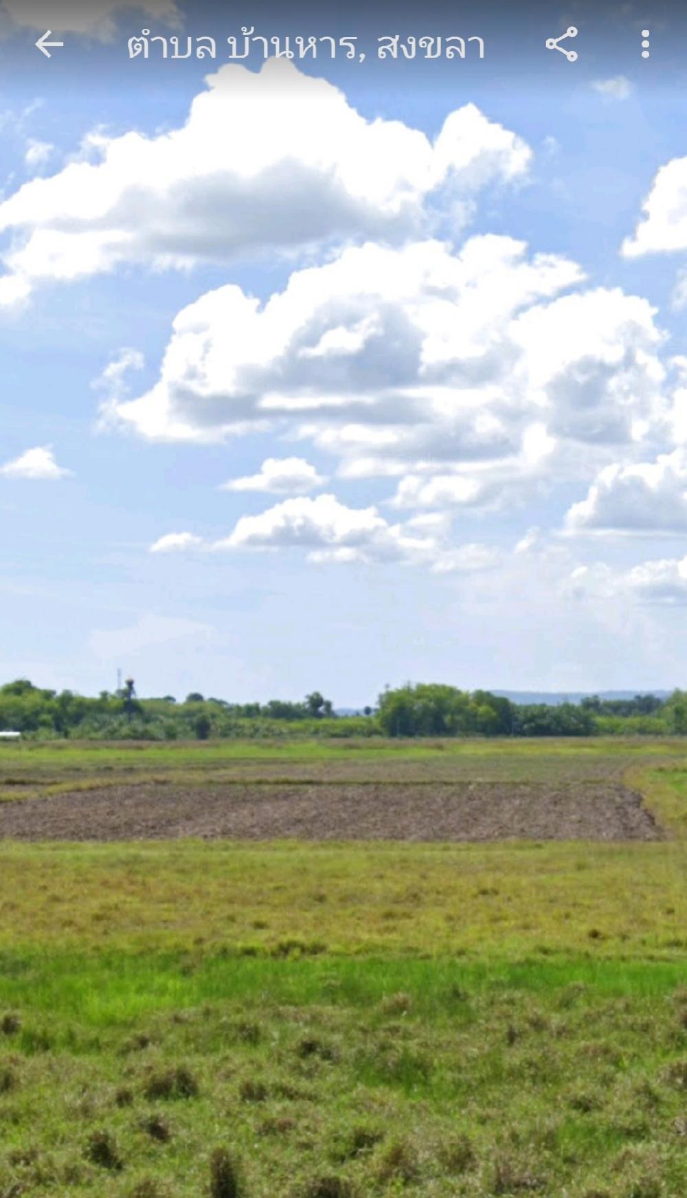 For SaleLandHatyai Songkhla : Land for sale by owner: near Hat Yai city Price negotiable. Location: Ban Han Subdistrict Municipality, Bang Klam District, Songkhla Province, far from Hat Yai city. From Big C Hat Yai, about 8 km. Price: 5,500,000 baht, negotiable. Type: rice field, area