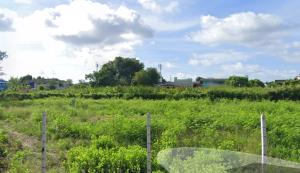 For RentLandRathburana, Suksawat : Pracha Uthit land for rent and sale, next to the main road, size 2 rai, suitable for a gas station, animal hospital.