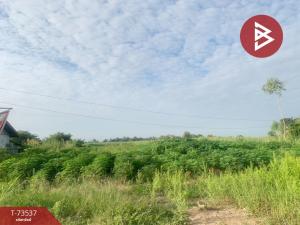 For SaleLandKamphaeng Phet : Land for sale, area 1 rai 3 ngan 22.8 square wa, Khlong Khlung, Kamphaeng Phet.