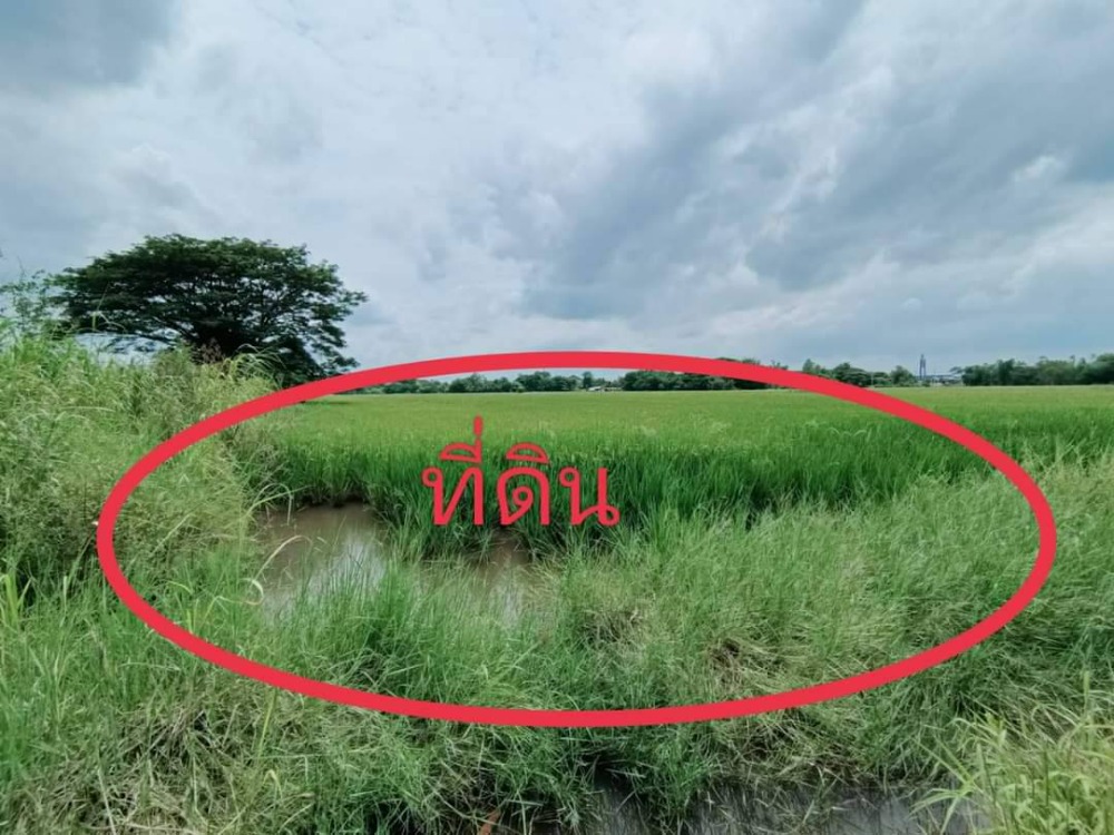 For SaleLandLop Buri : urgent! Beautiful land of 19 rai, front of the land next to the national highway. Bang Nga-Tha Khlong-Ban Mi, Lopburi Province