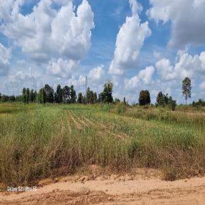 For SaleLandKhon Kaen : Cheap land for sale, 1 ngan, 58 sq m, Baan Daeng Yai, near the airport, Khon Kaen University, beautiful location, good weather, good community, convenient travel.