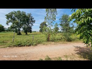 For SaleLandKhon Kaen : Cheap land for sale, 1 ngan, 99.80 sq m, Kut Kwang Subdistrict, Nong Ruea District. Khon Kaen Province, beautiful location, good weather, convenient travel.