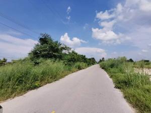 For SaleLandRatchaburi : Beautiful plot of land for sale next to a public road, Suan Phueng District.