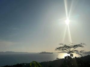 For SaleLandKrabi : ✅ Land for sale with sea view, Khlong Muang, near Dragon View restaurant, good view, beautiful, good atmosphere, sea view, suitable for a villa. or cafe ✅ good location Beautiful sea view in Krabi Near tourist attractions Near the sea #Selling price start