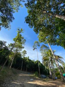 For SaleLandKoh Samui, Surat Thani : Land for sale, Taling Ngam Subdistrict, Koh Samui District, Surat Thani Province. (Owner sells it himself)