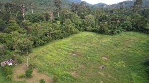For SaleLandKoh Samui, Surat Thani : 2 adjacent plots of land for sale, Taling Ngam Subdistrict, Koh Samui District, Surat Thani Province. (Owner sells it himself)