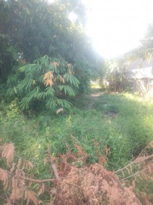 For SaleLandRatchaburi : For sale cheap, empty land, good location, Don Tako Subdistrict, Ratchaburi Province.