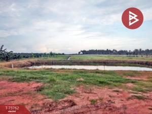 For SaleLandSamut Songkhram : Beautiful plot of land for sale, area 23 rai 60 square wah, Amphawa, Samut Songkhram.