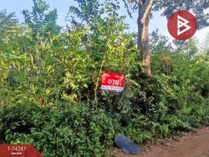 ขายที่ดินจันทบุรี : ขายที่ดินเปล่า เนื้อที่ 79 ตารางวา แสลง จันทบุรี