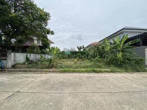 For SaleLandChaengwatana, Muangthong : Land in Makmai Sai Nam Village, 82.6 sq m, Srisamarn - Tiwanon.
