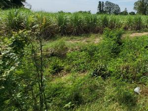 For SaleLandSuphan Buri : Land for sale, size 3 rai 14 square wa, address Bo Suphan Subdistrict, Song Phi Nong District, Suphan Buri Province.