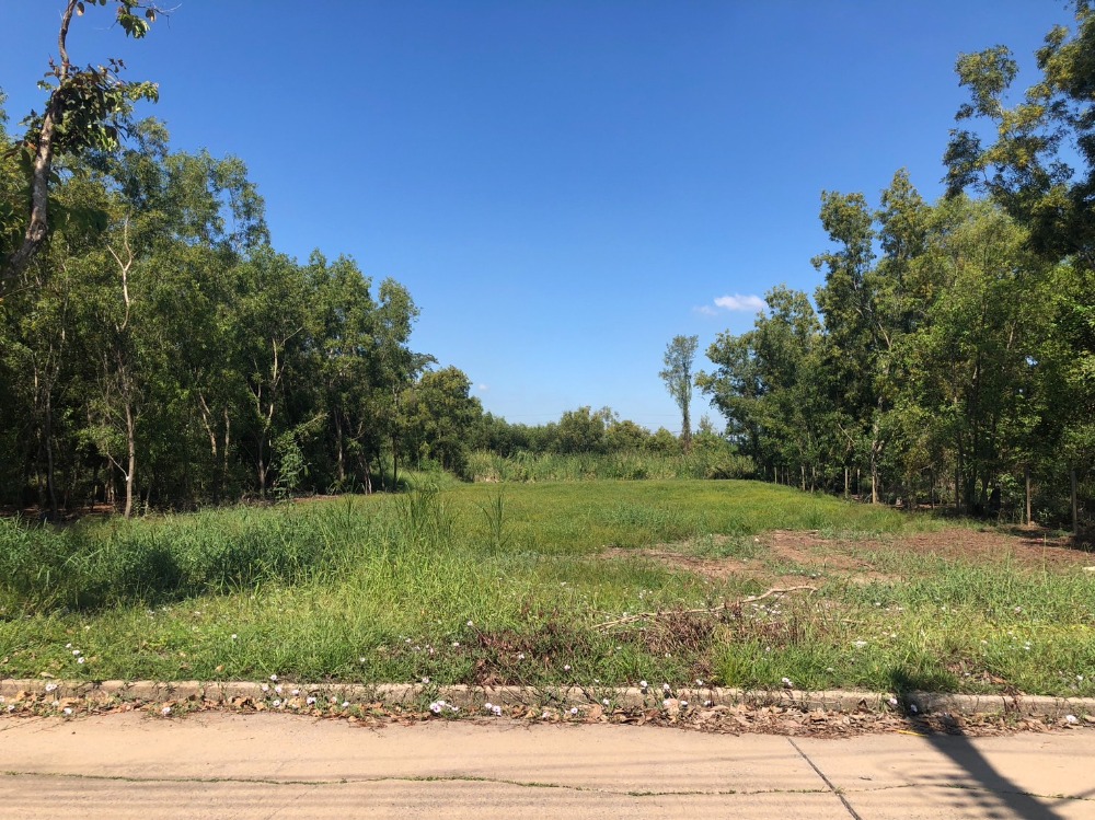 For SaleLandPathum Thani,Rangsit, Thammasat : Land for sale, Khlong 3, beautiful, suitable for building a house, doing business, a company, empty land in the village, World Club Land, near the main road.