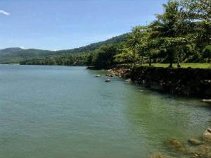 ขายที่ดินตราด : ขายที่ดินติดทะเลหน้ากว้าง