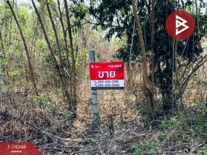 For SaleLandPhitsanulok : Land for sale, area 3 ngan 75 square wah, Wang Thong, Phitsanulok.