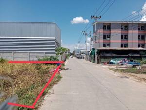 For SaleLandPathum Thani,Rangsit, Thammasat : Land for sale, 200 square wah, Thepkunchorn 17, beautiful place, near Thai Market, Iyara Market, just a short walk into the alley.