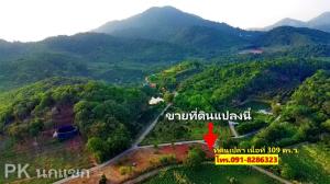 ขายที่ดินระยอง : ขายที่ดินเมืองระยอง ตำบลเพ จังหวัดระยอง ( เนินมะยม )