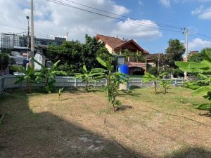 For SaleLandLadprao, Central Ladprao : NG40-Land for sale in the Lat Phrao area - Lat Phrao Intersection.