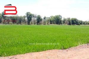 ขายที่ดินสุพรรณบุรี : ที่ดินเปล่า สวนเกษตรเรือนไทย เนื้อที่ 2-0-12.7 ไร่ ถ.บางบัวทอง-สุพรรณบุรี อ.บางปลาม้า จ.สุพรรณบุรี
