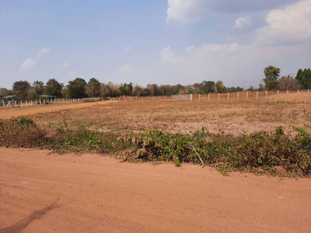 ขายที่ดินขอนแก่น : ขายที่ดินโฉนดนส4จ บ้านนาดอกไม้ ต.หนองบัว อ.บ้านฝาง จ.ขอนแก่น เจ้าของขายเอง