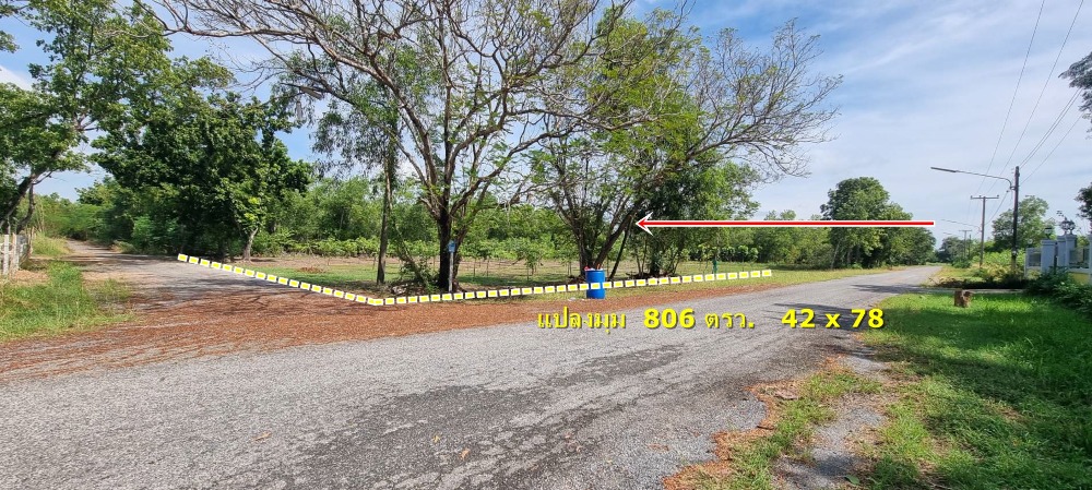 For SaleLandPathum Thani,Rangsit, Thammasat : Land for sale, already filled, resort atmosphere, 2-0-06 rai (806 sqw.), area 42 x 78 m., shady atmosphere, peaceful, total price 4,999,000 baht.