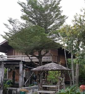 ขายบ้านสุพรรณบุรี : ขายบ้านเดี่ยว 2ชั้นพร้อมที่ดิน 3ไร่ 3งาน ล้อมรอบสวนผลไม้ ท่ามกลางธรรมชาติ ตำบลตลิ่งชัน สุพรรณบุรี