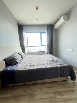 For RentCondoBangna, Bearing, Lasalle : 🌲📍FOR Rent Condo Niche Mono Sukumvit Bearing for rent Niche Mono Sukhumvit Bearing #nichemonobearing #Nich Mono Sukhumvit Bearing #nichemonobearing #Nich Mono Sukhumvit Bearing #BTSBearing #btsbearing ❌ Minimum 1 year contract ❌No Pet No Smoke ❌Not co-age