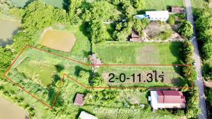 For SaleLandNong Khai : Vacant land, Ban Tha Mafueng, Phon Sa Subdistrict