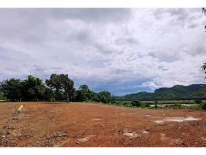 For SaleLandLoei : L080466 vacant land for sale Investment property in Loei Province