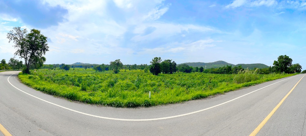 For SaleLandLamphun : Land for sale with mountains, large pieces of 300 rai or more, in the shape of flying birds.