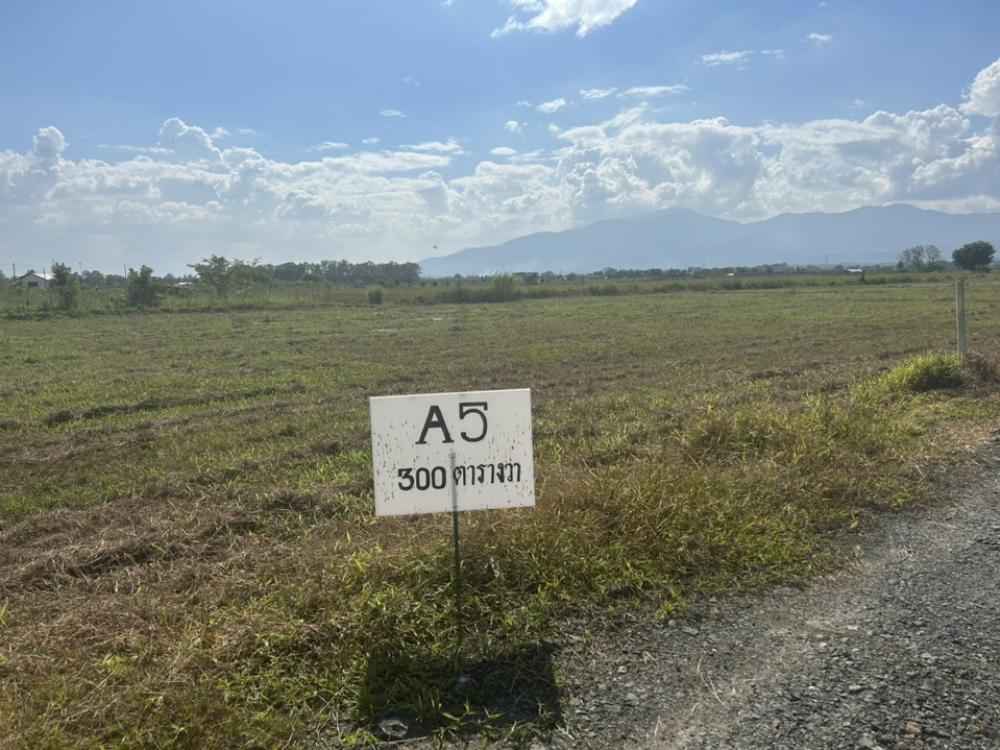 ขายที่ดินเชียงใหม่ : ขายที่ดินเปล่า ต.สันโป่ง อ.แม่ริม จ.เชียงใหม่ ที่ดินจัดสรรแบ่งแปลงขาย วิวเขาสวย ทำเลดี ใกล้แหล่งชุมชน น้ำไฟสาธารณูปโภคเข้าถึง มีถนนสาธารณะในโครงการกว้าง 5- 6 เมตร โฉนดครุฑแดงราคาถูก แปลง A5
