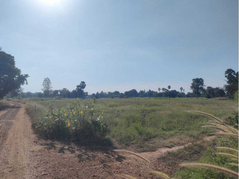 For SaleLandUthai Thani : L080505 Vacant land for sale, 35 rai 19 sq m., Nong Kha Yang District, Uthai Thani Province.