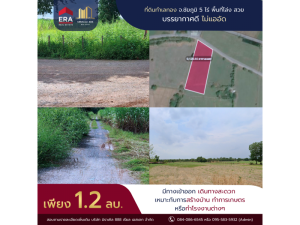 For SaleLandChaiyaphum : L080473 vacant land for sale, 5 rai, Kaeng Khro, Chaiyaphum,