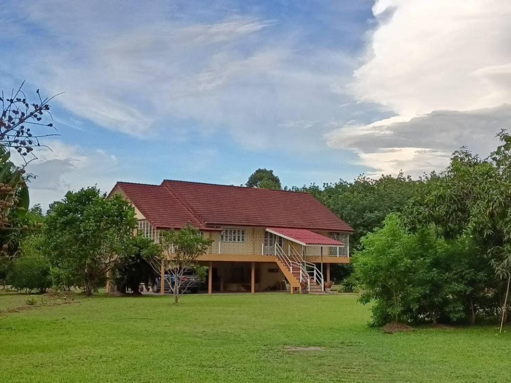 For RentHouseChachoengsao : Farm house for rent in an area of 5 rai in an atmosphere of nature