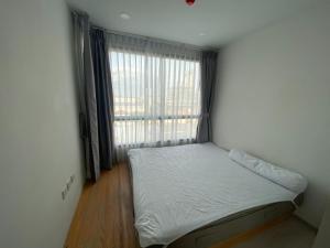 For RentCondoOnnut, Udomsuk : For rent at The Tree Sukhumvit 64 Negotiable at @condo99 (with @ too)
