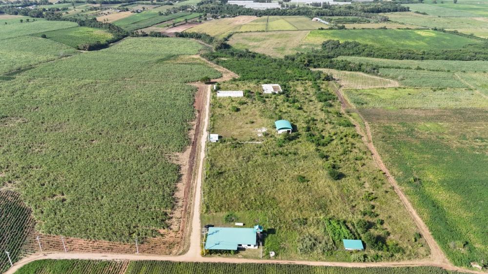 For SaleLandSaraburi : Land for sale, 29 rai, Wang Muang District, Saraburi Province, near Pa Sak Cholasit Dam.