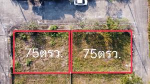 For SaleLandChiang Mai : Land for sale to build a house in the Land and House San Sai project Chaiyapruek Village, Chiang Mai, 2 plots, facing next to each other, north and south.