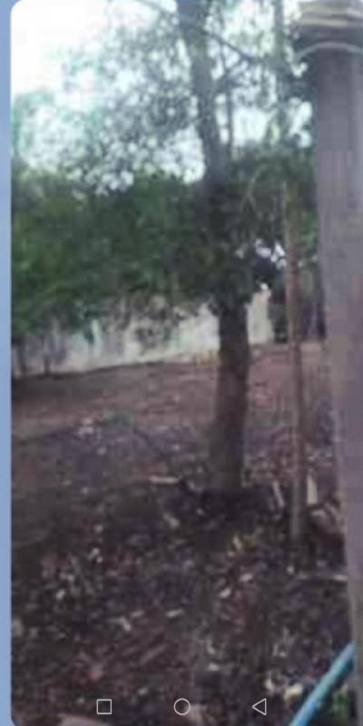 For SaleLandSuphan Buri : Suphan river land for sale in a large area of 329 Sq. Near Sam Chuk Market, Sam Chuk District, Suphan Buri