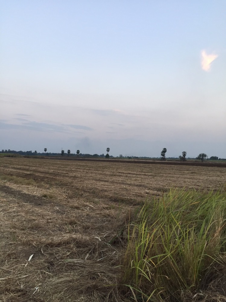 For SaleLandNakhon Sawan : Sugar cane land for sale, 17 rai, 95,000 baht each, Tak Fa District, Nakhon Sawan Province, road access, suitable for investment, price negotiable.