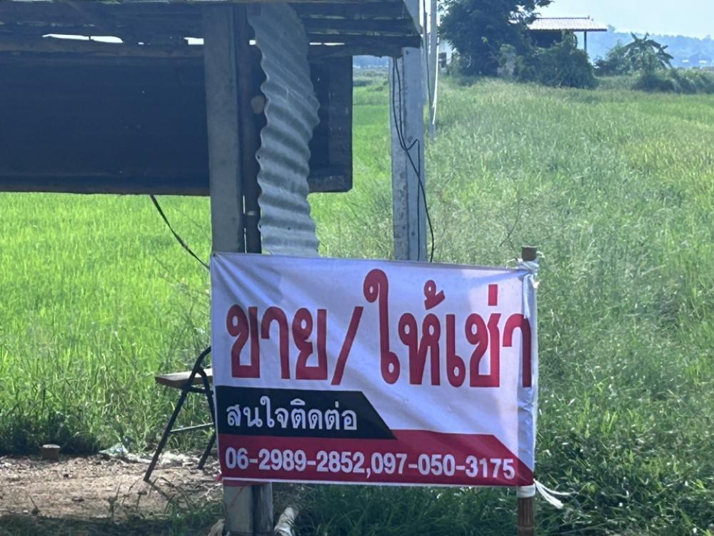For SaleLandSuphan Buri : Urgently selling land, area 5 rai (field plot) with house, Ha Khao Subdistrict, Doem Bang Nang Buat District, Suphan Buri Province, 300,000 per rai (total 1,500,000 baht)