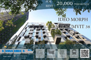 ให้เช่าคอนโดสุขุมวิท อโศก ทองหล่อ : เช่า Ideo morph 38 Duplex ห้องสวย เลี้ยวสัตว์ได้ 🦮 ราคาดีมาก เพียง 20,000 บาท 🔥