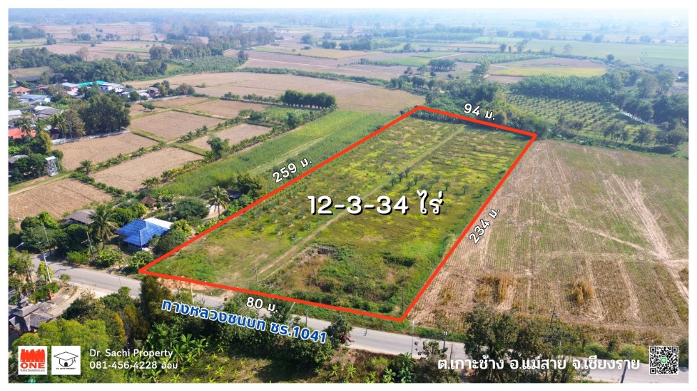 For SaleLandChiang Rai : Date palm orchard for sale, 12-3-34 rai, ready to harvest. The system was set up by the National Outstanding Agricultural Cooperative, Koh Chang Subdistrict, Mae Sai District, Chiang Rai Province.