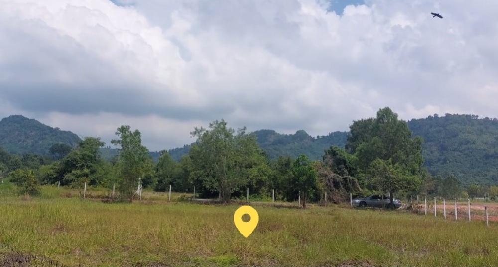 For SaleLandNakhon Nayok : Land for sale, mountain view, Khao Phra Subdistrict, Nakhon Nayok Province, Red Garuda title deed, ready to transfer (convenient to talk via Line)