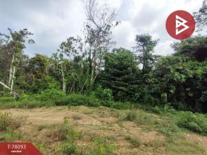 For SaleLandChanthaburi : Empty land for sale, area 1 rai, Tha Chang, Chanthaburi.