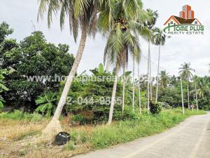 For SaleLandNakhon Si Thammarat : Land near Koh Khan Prachaphiban School Mai Liap-Cha-uat Road Nakhon Si Thammarat, area 138 square meters
