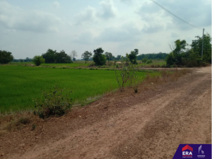 For SaleLandPhitsanulok : L080851 Empty land for sale 7 rai 2 ngan 62.60 sq m near Phitsanulok city.