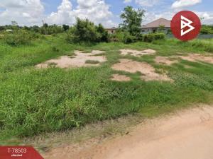 For SaleLandPhitsanulok : Land for sale, already filled, area 97 square meters, Wang Thong, Phitsanulok, community area